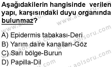 Seçmeli Biyoloji 1 Dersi 2024-2025 yılı 2. Dönem sınavı 3. Soru Seçmeli Biyoloji 1 Dersi 2024-2025 yılı 2. Dönem sınavı 3. Soru