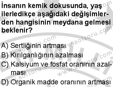 Seçmeli Biyoloji 1 Dersi 2024-2025 yılı 2. Dönem sınavı 4. Soru Seçmeli Biyoloji 1 Dersi 2024-2025 yılı 2. Dönem sınavı 4. Soru