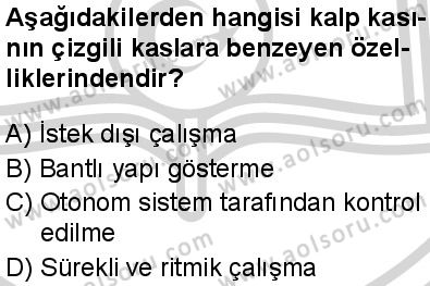 Seçmeli Biyoloji 1 Dersi 2024-2025 yılı 2. Dönem sınavı 5. Soru Seçmeli Biyoloji 1 Dersi 2024-2025 yılı 2. Dönem sınavı 5. Soru