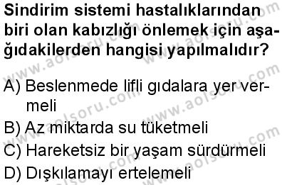 Seçmeli Biyoloji 1 Dersi 2024-2025 yılı 2. Dönem sınavı 7. Soru Seçmeli Biyoloji 1 Dersi 2024-2025 yılı 2. Dönem sınavı 7. Soru