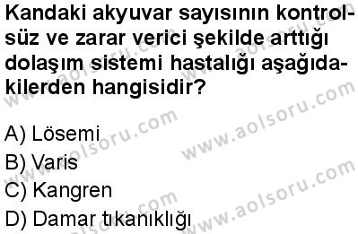 Seçmeli Biyoloji 1 Dersi 2024-2025 yılı 2. Dönem sınavı 9. Soru Seçmeli Biyoloji 1 Dersi 2024-2025 yılı 2. Dönem sınavı 9. Soru