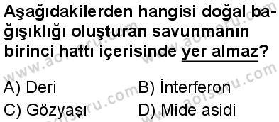 Seçmeli Biyoloji 1 Dersi 2024-2025 yılı 2. Dönem sınavı 10. Soru Seçmeli Biyoloji 1 Dersi 2024-2025 yılı 2. Dönem sınavı 10. Soru