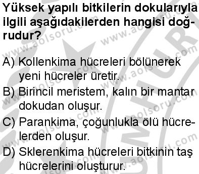 Seçmeli Biyoloji 4 Dersi 2024-2025 yılı 2. Dönem sınavı 1. Soru Seçmeli Biyoloji 4 Dersi 2024-2025 yılı 2. Dönem sınavı 1. Soru