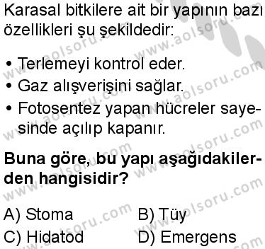 Seçmeli Biyoloji 4 Dersi 2024-2025 yılı 2. Dönem sınavı 2. Soru Seçmeli Biyoloji 4 Dersi 2024-2025 yılı 2. Dönem sınavı 2. Soru