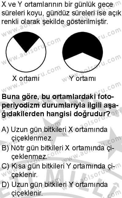 Seçmeli Biyoloji 4 Dersi 2024-2025 yılı 2. Dönem sınavı 3. Soru Seçmeli Biyoloji 4 Dersi 2024-2025 yılı 2. Dönem sınavı 3. Soru
