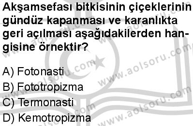 Seçmeli Biyoloji 4 Dersi 2024-2025 yılı 2. Dönem sınavı 4. Soru Seçmeli Biyoloji 4 Dersi 2024-2025 yılı 2. Dönem sınavı 4. Soru