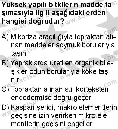 Seçmeli Biyoloji 4 Dersi 2024-2025 yılı 2. Dönem sınavı 5. Soru Seçmeli Biyoloji 4 Dersi 2024-2025 yılı 2. Dönem sınavı 5. Soru