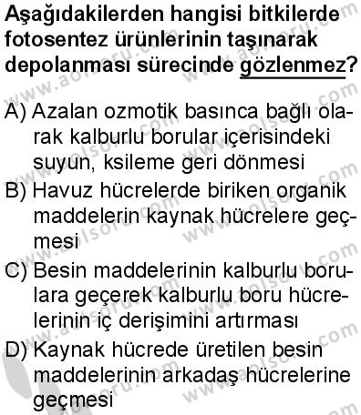 Seçmeli Biyoloji 4 Dersi 2024-2025 yılı 2. Dönem sınavı 6. Soru Seçmeli Biyoloji 4 Dersi 2024-2025 yılı 2. Dönem sınavı 6. Soru