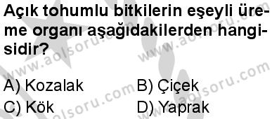 Seçmeli Biyoloji 4 Dersi 2024-2025 yılı 2. Dönem sınavı 7. Soru Seçmeli Biyoloji 4 Dersi 2024-2025 yılı 2. Dönem sınavı 7. Soru