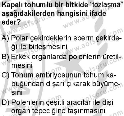 Seçmeli Biyoloji 4 Dersi 2024-2025 yılı 2. Dönem sınavı 8. Soru Seçmeli Biyoloji 4 Dersi 2024-2025 yılı 2. Dönem sınavı 8. Soru