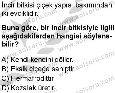 Seçmeli Biyoloji 4 Dersi 2024-2025 yılı 2. Dönem sınavı 9. Soru Seçmeli Biyoloji 4 Dersi 2024-2025 yılı 2. Dönem sınavı 9. Soru