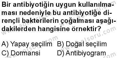 Seçmeli Biyoloji 4 Dersi 2024-2025 yılı 2. Dönem sınavı 10. Soru Seçmeli Biyoloji 4 Dersi 2024-2025 yılı 2. Dönem sınavı 10. Soru