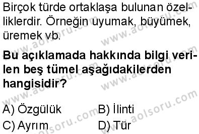 Seçmeli Mantık 1 Dersi 2024-2025 yılı 2. Dönem sınavı 8. Soru Seçmeli Mantık 1 Dersi 2024-2025 yılı 2. Dönem sınavı 8. Soru