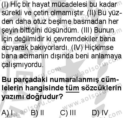 Türk Dili ve Edebiyatı 6 Dersi 2024-2025 yılı 2. Dönem sınavı 6. Soru Türk Dili ve Edebiyatı 6 Dersi 2024-2025 yılı 2. Dönem sınavı 6. Soru
