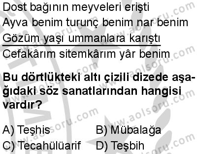 Seçmeli Türk Dili ve Edebiyatı 1 Dersi 2024-2025 yılı 2. Dönem sınavı 3. Soru Seçmeli Türk Dili ve Edebiyatı 1 Dersi 2024-2025 yılı 2. Dönem sınavı 3. Soru
