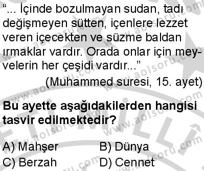 Din Kültürü ve Ahlak Bilgisi 5 Dersi 2024-2025 yılı 3. Dönem sınavı 5. Soru