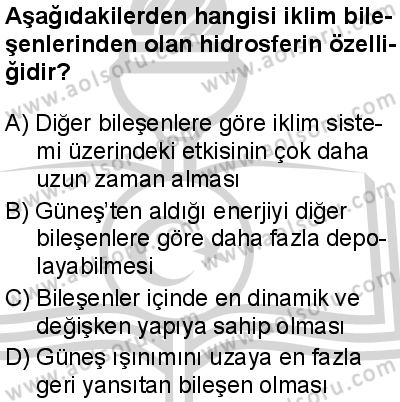 Coğrafya 1 Dersi 2024-2025 yılı 3. Dönem sınavı 8. Soru