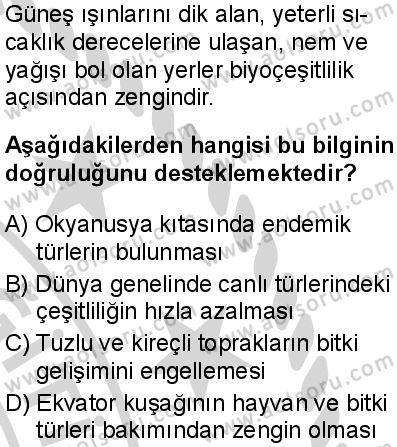 Seçmeli Coğrafya 1 Dersi 2024-2025 yılı 3. Dönem sınavı 1. Soru