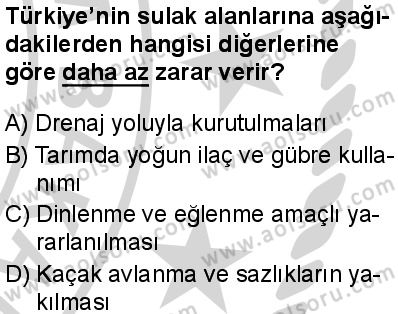 Seçmeli Coğrafya 1 Dersi 2024-2025 yılı 3. Dönem sınavı 2. Soru