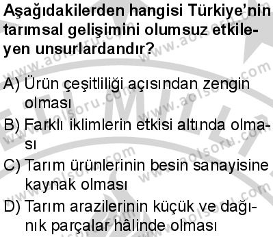 Seçmeli Coğrafya 1 Dersi 2024-2025 yılı 3. Dönem sınavı 9. Soru