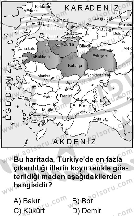 Seçmeli Coğrafya 1 Dersi 2024-2025 yılı 3. Dönem sınavı 10. Soru