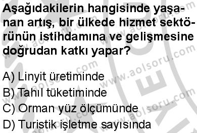 Seçmeli Coğrafya 3 Dersi 2024-2025 yılı 3. Dönem sınavı 7. Soru