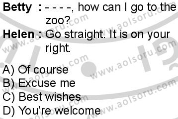 İngilizce 1 Dersi 2024-2025 yılı 3. Dönem sınavı 1. Soru