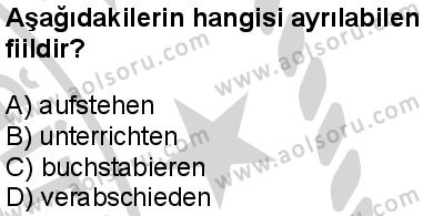 Almanca 1 Dersi 2024-2025 yılı 3. Dönem sınavı 10. Soru
