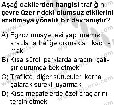 Sağlık Bilgisi ve Trafik Kültürü 2 Dersi 2024-2025 yılı 3. Dönem sınavı 10. Soru
