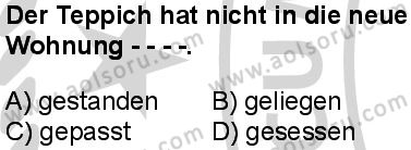 Almanca 5 Dersi 2024-2025 yılı 3. Dönem sınavı 4. Soru