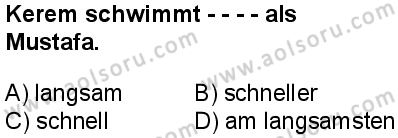 Almanca 5 Dersi 2024-2025 yılı 3. Dönem sınavı 6. Soru