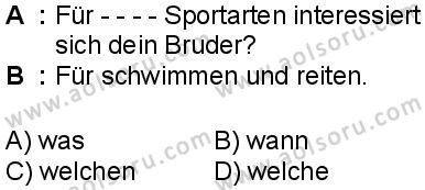 Almanca 5 Dersi 2024-2025 yılı 3. Dönem sınavı 7. Soru