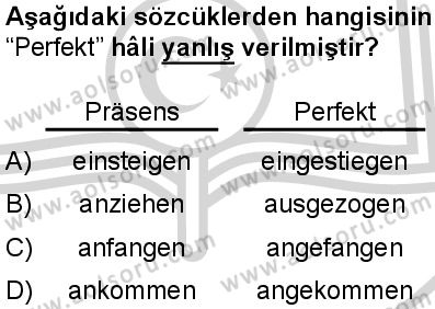 Almanca 5 Dersi 2024-2025 yılı 3. Dönem sınavı 9. Soru