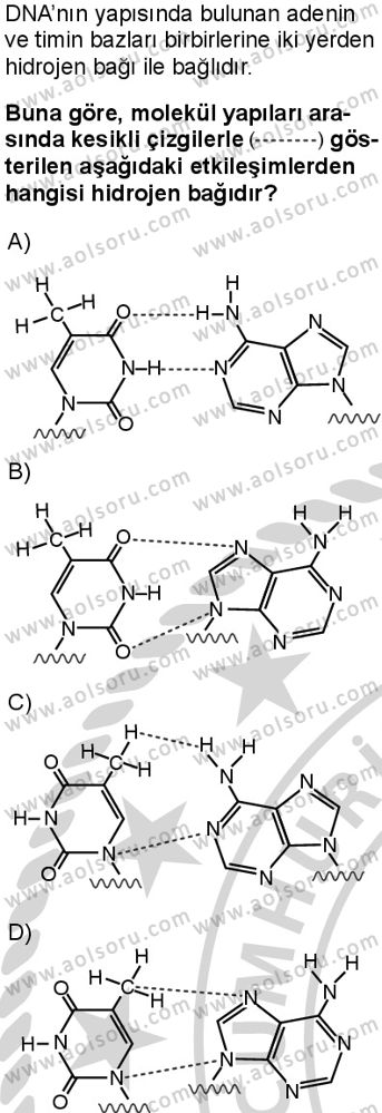 Kimya 2 Dersi 2024-2025 yılı 3. Dönem sınavı 6. Soru