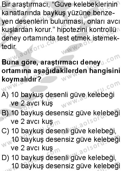Biyoloji 1 Dersi 2024-2025 yılı 3. Dönem sınavı 1. Soru