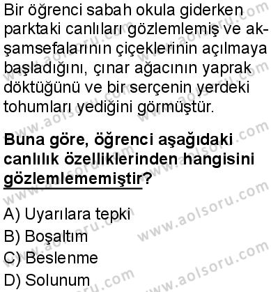 Biyoloji 1 Dersi 2024-2025 yılı 3. Dönem sınavı 2. Soru