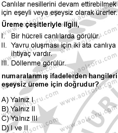 Biyoloji 1 Dersi 2024-2025 yılı 3. Dönem sınavı 3. Soru