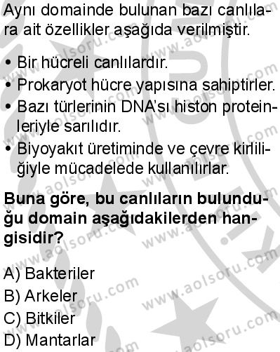 Biyoloji 1 Dersi 2024-2025 yılı 3. Dönem sınavı 4. Soru
