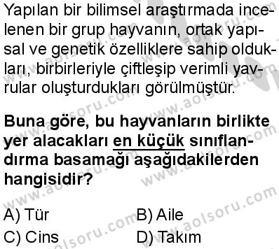 Biyoloji 1 Dersi 2024-2025 yılı 3. Dönem sınavı 5. Soru