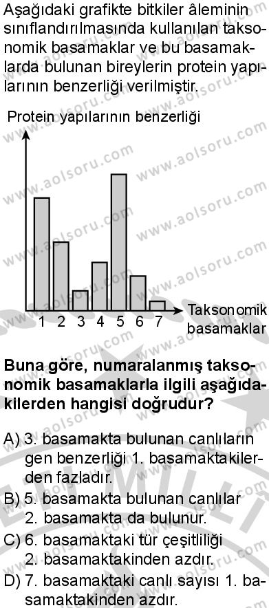 Biyoloji 1 Dersi 2024-2025 yılı 3. Dönem sınavı 6. Soru