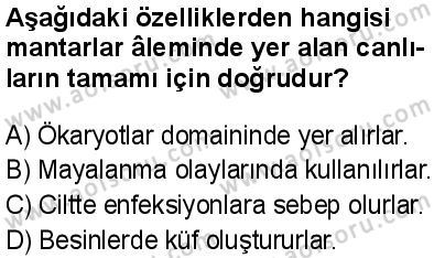 Biyoloji 1 Dersi 2024-2025 yılı 3. Dönem sınavı 8. Soru