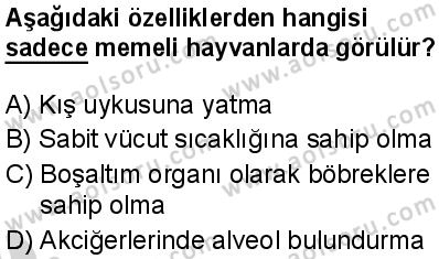 Biyoloji 1 Dersi 2024-2025 yılı 3. Dönem sınavı 9. Soru