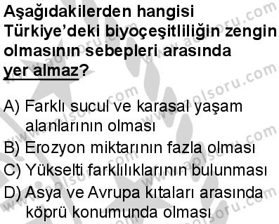 Biyoloji 1 Dersi 2024-2025 yılı 3. Dönem sınavı 10. Soru