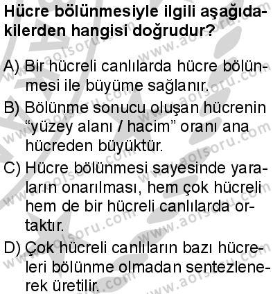 Biyoloji 3 Dersi 2024-2025 yılı 3. Dönem sınavı 1. Soru
