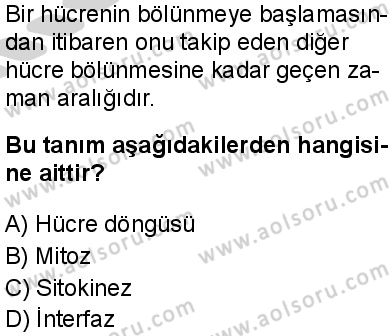 Biyoloji 3 Dersi 2024-2025 yılı 3. Dönem sınavı 2. Soru