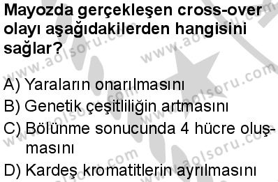 Biyoloji 3 Dersi 2024-2025 yılı 3. Dönem sınavı 5. Soru