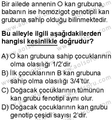Biyoloji 3 Dersi 2024-2025 yılı 3. Dönem sınavı 7. Soru