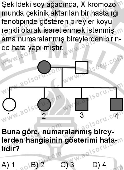 Biyoloji 3 Dersi 2024-2025 yılı 3. Dönem sınavı 8. Soru