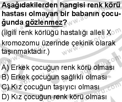 Biyoloji 3 Dersi 2024-2025 yılı 3. Dönem sınavı 9. Soru