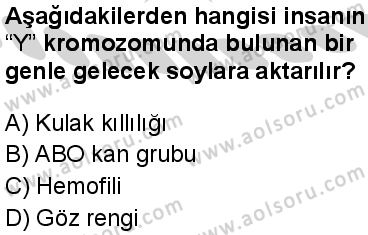 Biyoloji 3 Dersi 2024-2025 yılı 3. Dönem sınavı 10. Soru